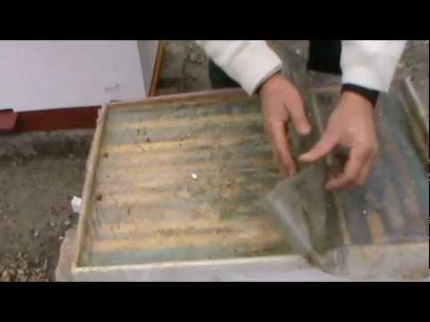 The entire apiary of the online teacher transferred to the new Bio Hive model - Ioan Ursu, perfor...