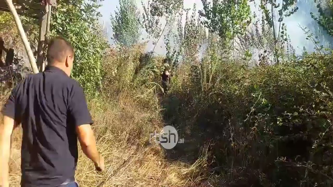 Kurbin, zjarri përfshin sipërfaqe pyjore në Drojë, flakët rrezikojnë banesat