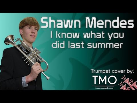 Shawn Mendes - I know what you did last summer (TMO Cover)