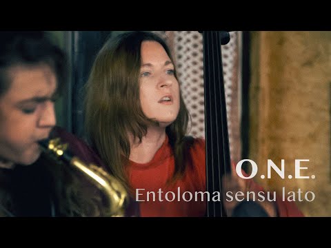 O.N.E. LIVE AT BARKA - ENTOLOMA SENSU LATO