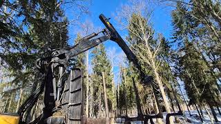 Porteur forestier Ponsse Elk 8W | Image 4 - Agroline