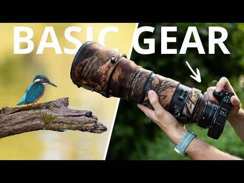 Photographing Kingfishers | Beginners Gear Guide | Wildlife Photography