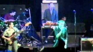 Too Much Too Young - The Specials - Live 1979