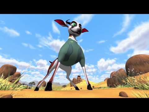 Bokkie - Introducing Bokkie - South African Rugby