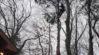 Best Tree Services in Clarksville TN - Hard Knot Tree Service Inc. video Best Tree Services in Clarksville TN - Hard Knot Tree Service Inc. video