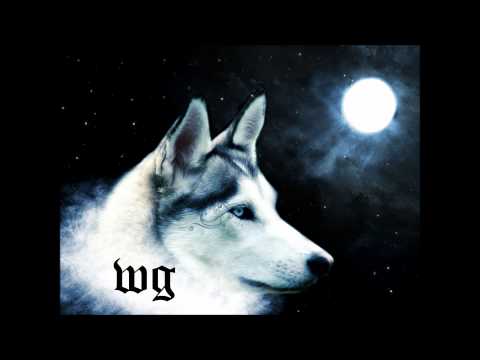 wg arrependimento.wmv