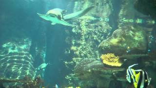 Minnesota, WI ~ Bon Iver