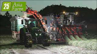 LS 25 Asia Farm #43 Gemüse Finale mit Pastinaken!