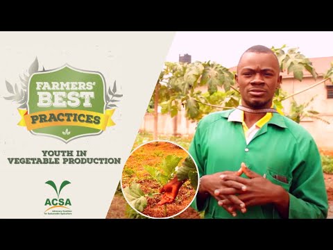 Skilling   the young for Job Creation during COVID