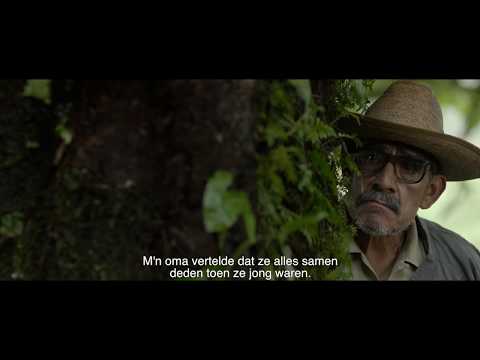 Sueño en otro idioma