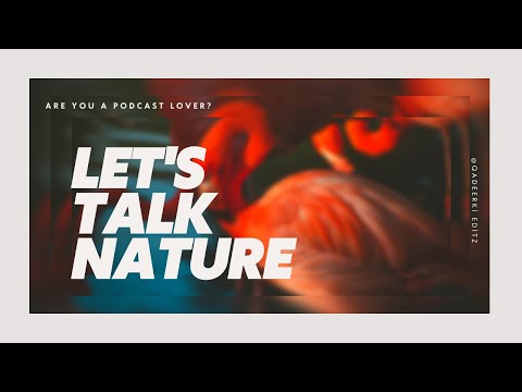 The Last Light of Eldergrove: A Tale of Eternal Darkness