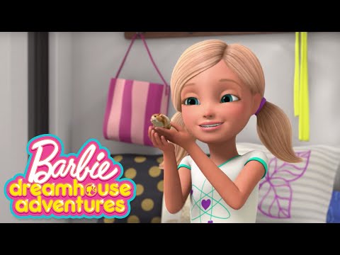 La Famille de l’année | Barbie Dreamhouse Adventures | @BarbieFrancais