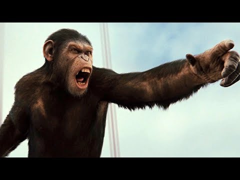 Apes vs Humans - Battle For The Bridge Scene - Rise of the Planet of the Apes (2011) Movie Clip HD