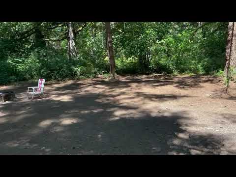 Privacy, woods and place to hang a hammock!