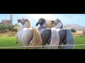 Ferdinand Horse Butts