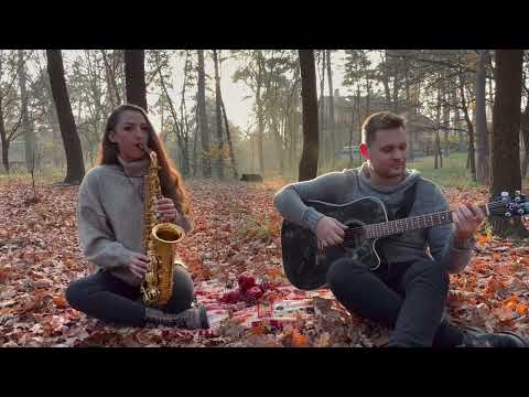 AlinaSax-Журавлі