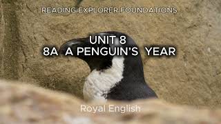 READING EXPLORER FOUNDATIONS UNIT 8 8A A PENGUIN’S YEAR