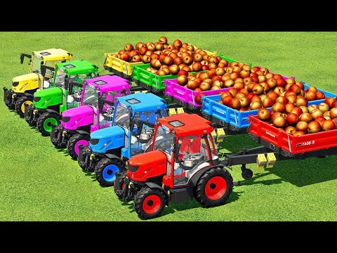 LOAD & TRANSPORT PEACHES WITH SCANIA & RIGITRAC TRACTORS Farming Simulator 22