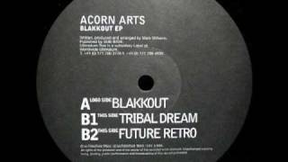 Acorn Arts - Tribal Dream