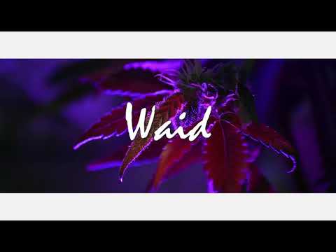 FREE | Ghali x Charlie Charles type beat - Why Always Me? (Prod. Amc)