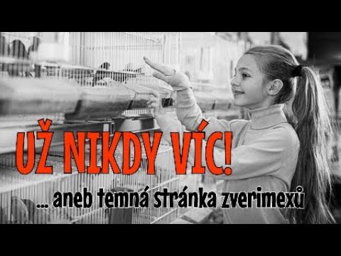 Moje zkušenost s prací ve zverimexu