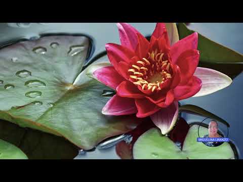 DIOS ESCUCHA SOLO CREE