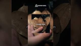 Download lagu The Mystical Story of Klender Mall #mysterymedia #story mp3