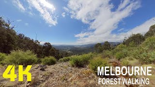 Steavenson Falls De La Rue Lookout Walking Tour