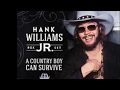 Dinosaur by Hank Williams Jr. from his album A Country Boy Can Survive box set