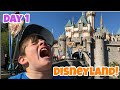 Kid Temper Tantrum Returns To Disneyland Day One Kids Wanted To Travel By Luggage
