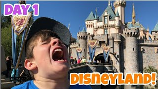 Kid Temper Tantrum Returns To Disneyland Day One - Kids Wanted To Travel By Luggage