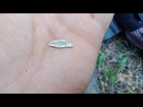 Define Kasası İçinden Çıkan Altın Parçaları !!!