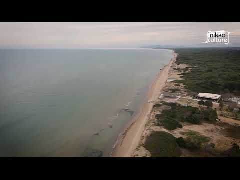 Nollan Ft. U.R.A. - Heaven Is There (Nikko Culture Remix) @roundtripmusic