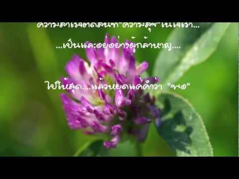 คลิกเพื่อดูคลิปวิดีโอ