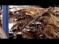 10 Years This Wood Has Been Neglected Until It Is Porous And Damaged In The Sawmill