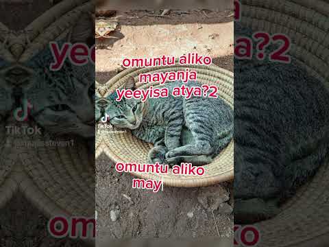 omulongo mayanja namayanja #lubaale