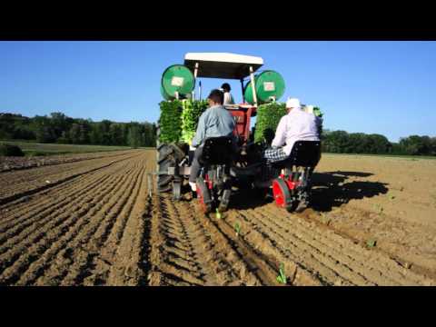 Spapperi S.r.l. - Trapiantatrice TC 200 / Transplanter TC 200