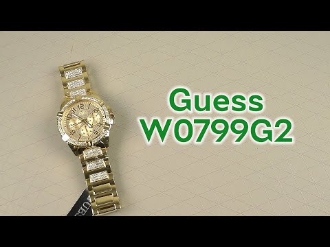 Laikrodis Watches GUESS GENTS W0799G2