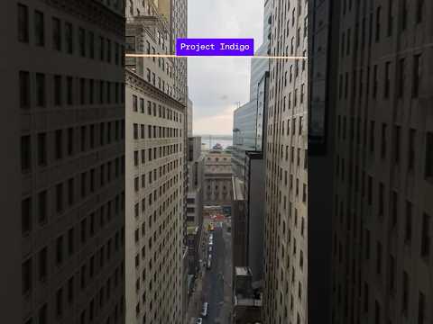 We took some sample photos with Project Indigo and the normal iPhone camera to see how they compare.