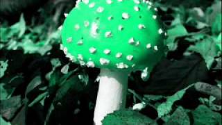 Locust- The Girl With The Fairytale Dream (AUDIO)