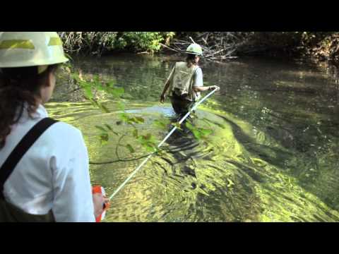 Hydrologist video 3