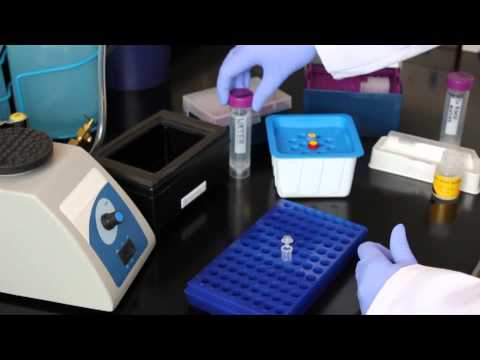 FirePlex® miRSelect Full Protocol