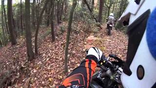 ADVriders 'We Like to Hunt"