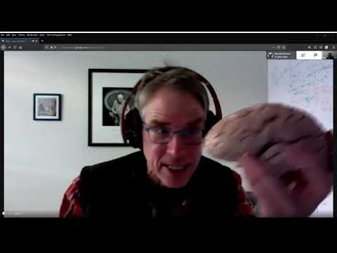 Christof Koch on Consciousness (Topics in Successful Mind Uploading)