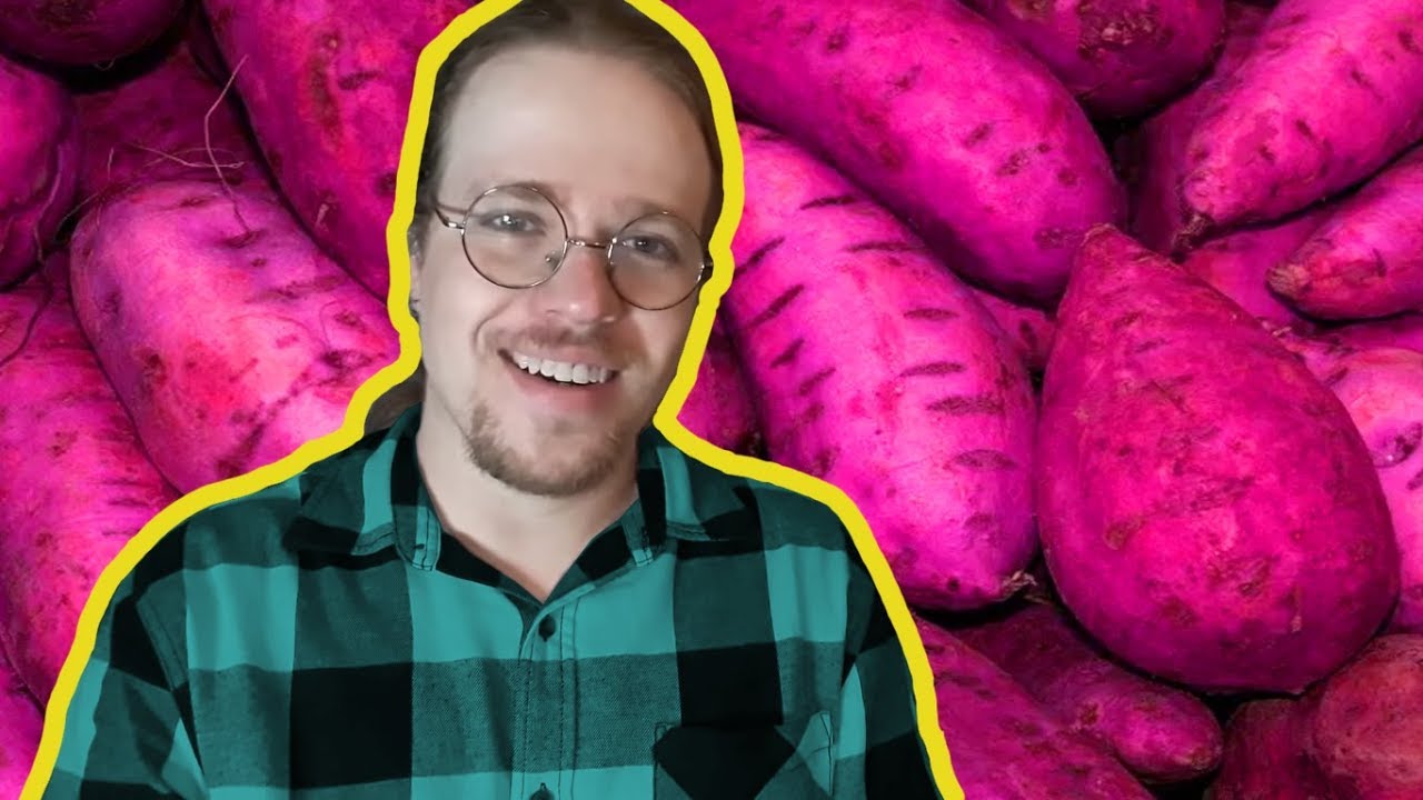 Batata Doce para Cachorro | Dr. Edgard Gomes