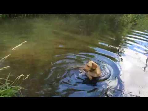 Nasz Fuks w Kaczawie