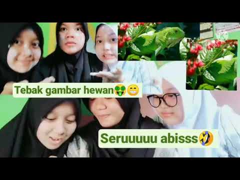 Tebak hewan‼️Seru kaleee🤣😁