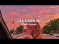 Dil Laga Na (Slowed & Reverbed)