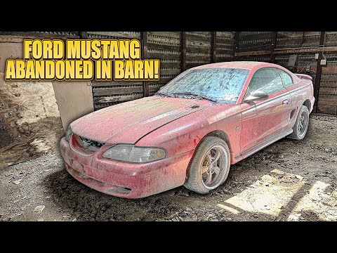 Thumbnail for First Wash in 8 Years: ABANDONED Barn Find Ford Mustang! | Car Detailing Restoration by SEAT, Ford Mustang, Jeep, Car, Vehicle