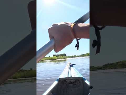 Rápidos del Rio Yi . Canoyi 2025 . Polanco del Yi - Durazno . #caiodiaz 